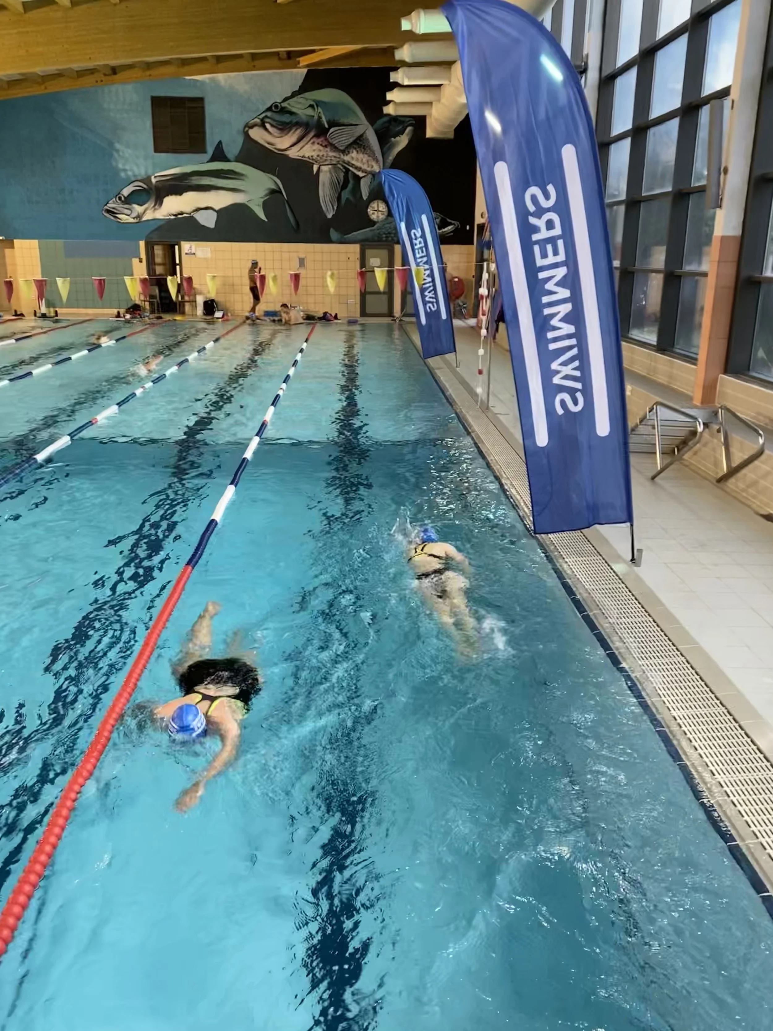 Binnenzwembad met zwemmers en blauwe vlaggen met 'SWIMMERS' erop.