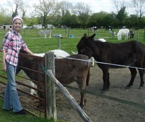 site-wallingford-donkeys.jpg