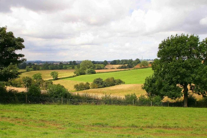 site-woodford-view.JPG