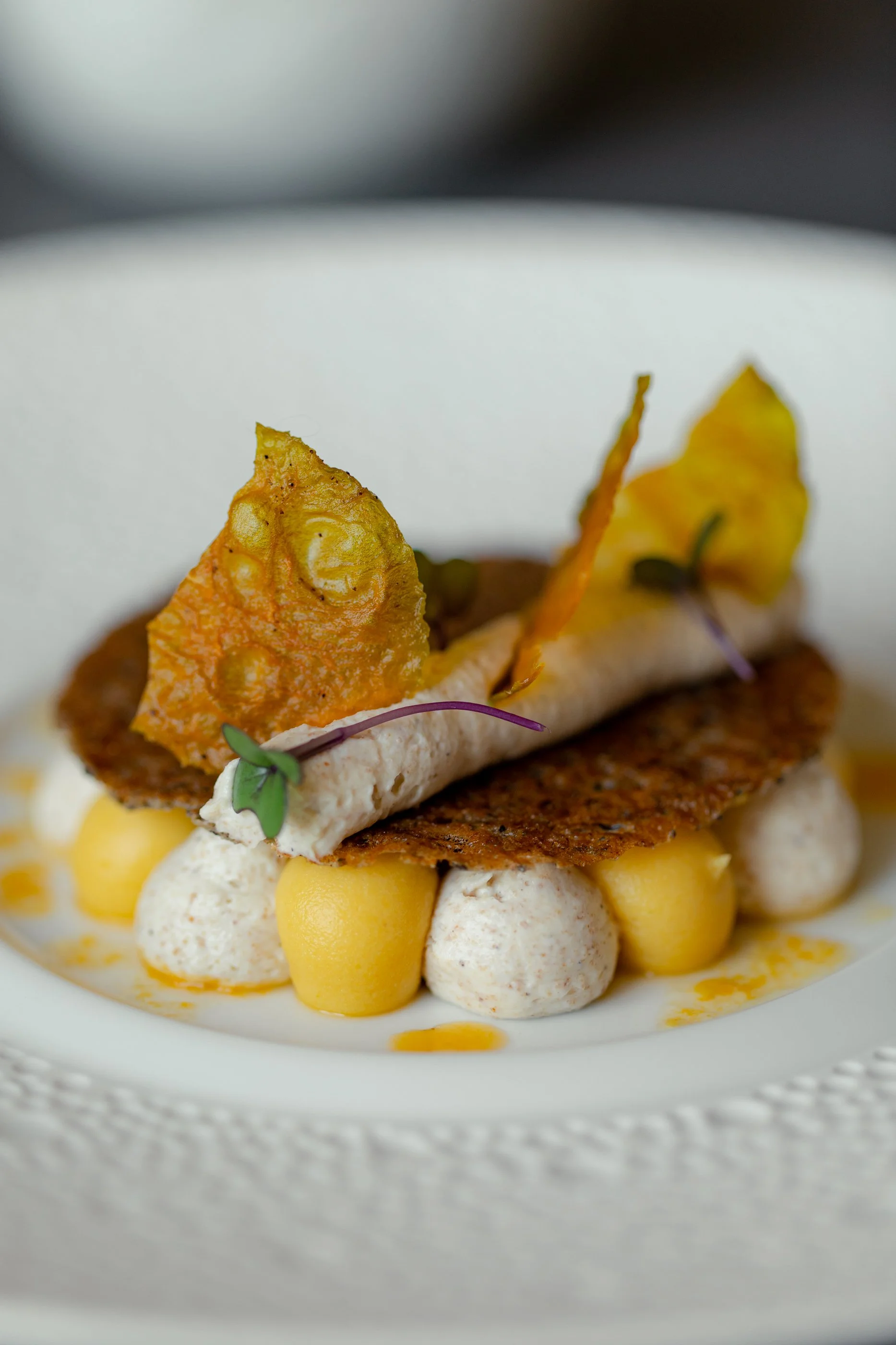 Assiette gastronomique avec éléments croustillants, crème, purée, et garnitures décoratives