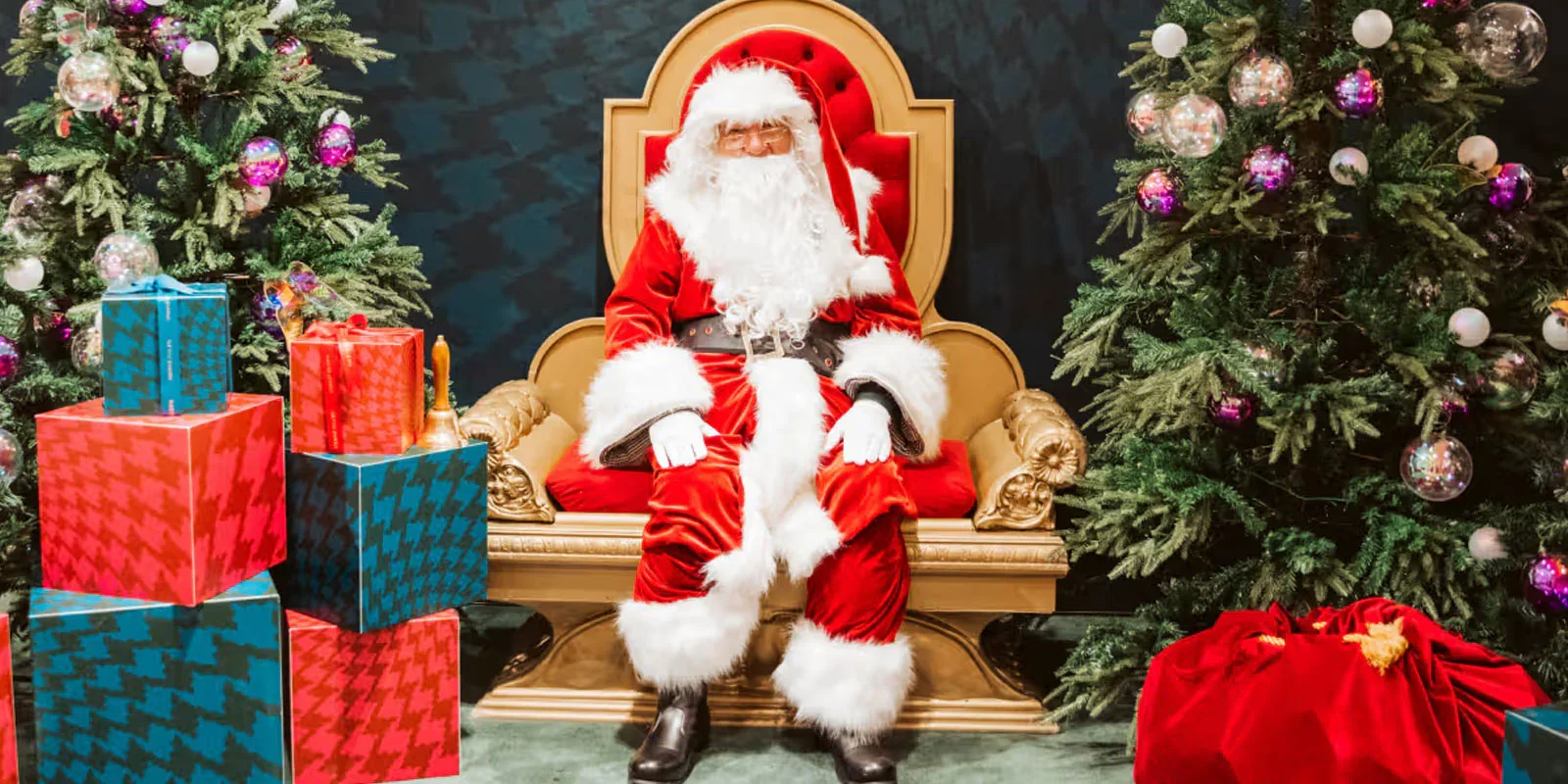 Who won christmas 2025: David Jones vs myer