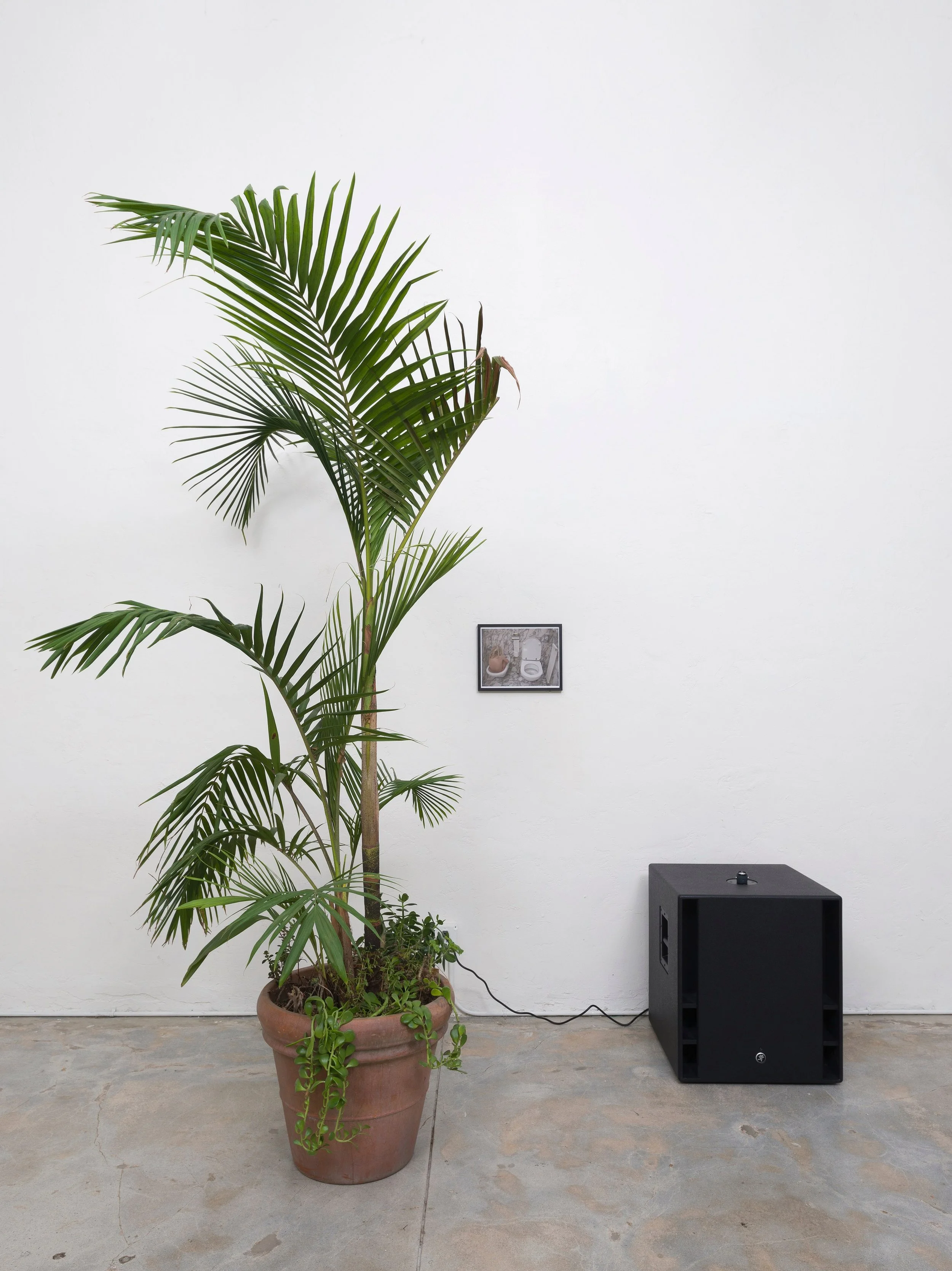 image_processing20210113-4-1ahi52d (1).jpg