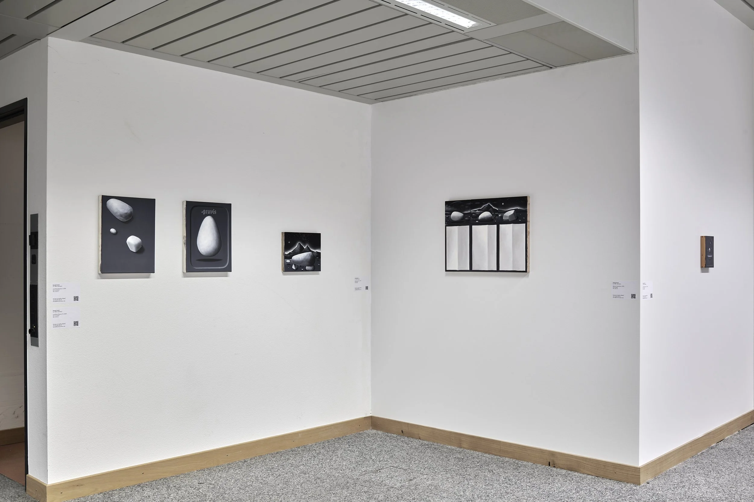 Harald Erath exhibition view at Basel Social Club