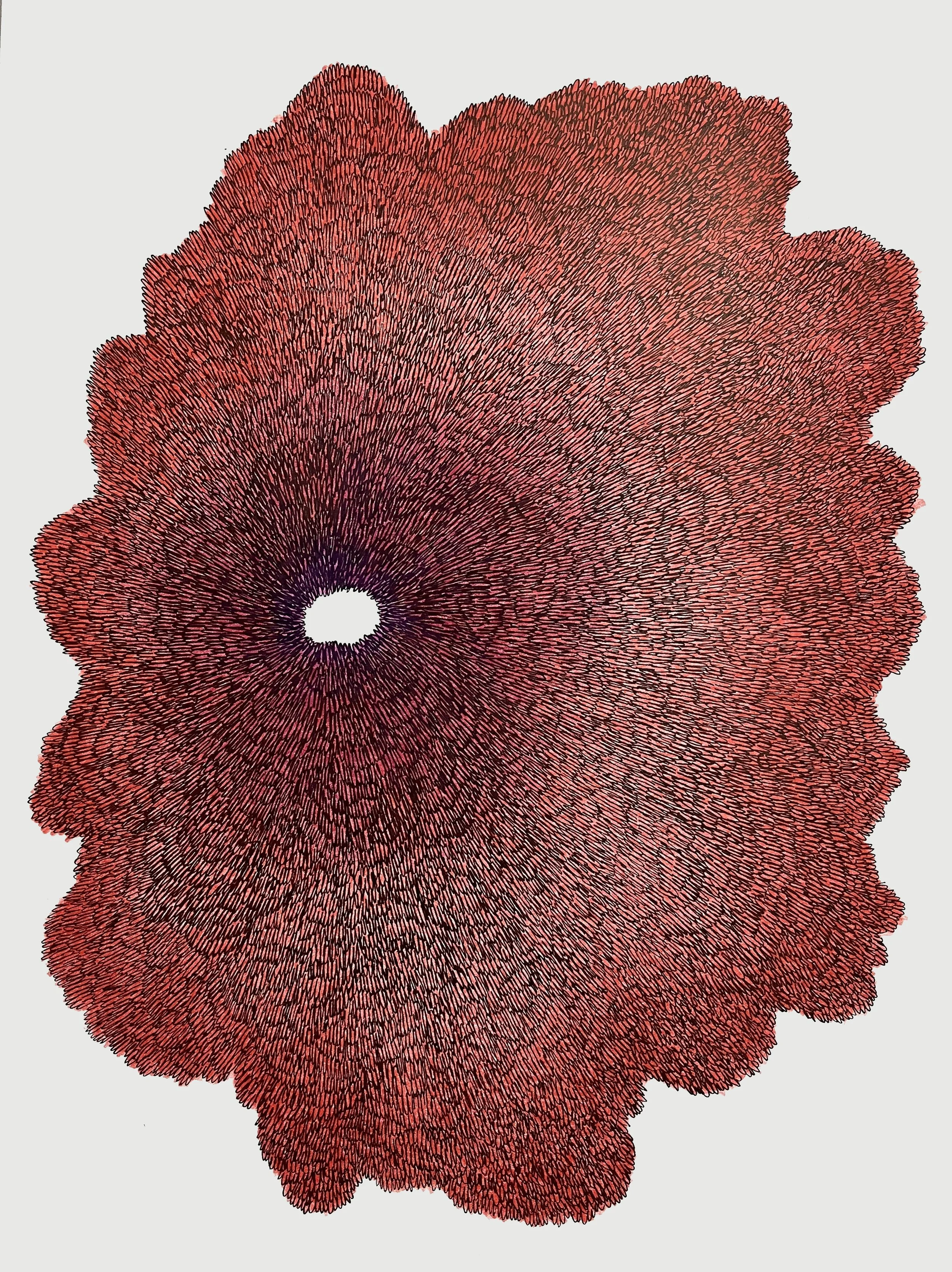 The New Series
2024
felt-tip pen and colored pencil on paper
48 × 35.3 cm