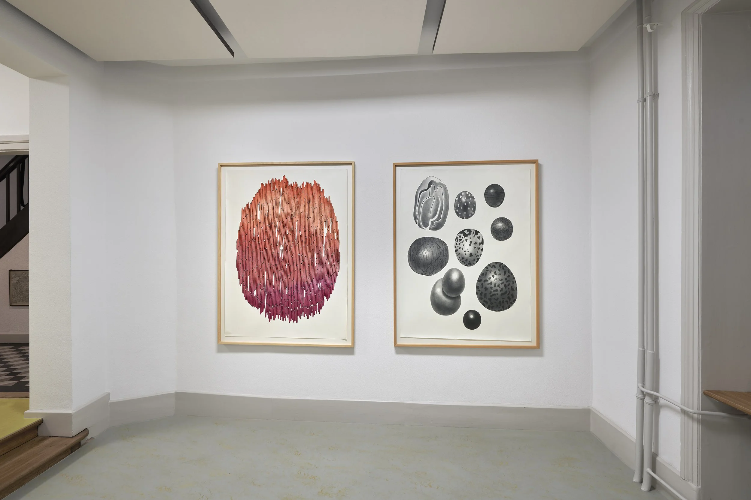 Installation view showing two large framed drawings by Karoline Schreiber, one a red circular composition and the other featuring dotted organic forms