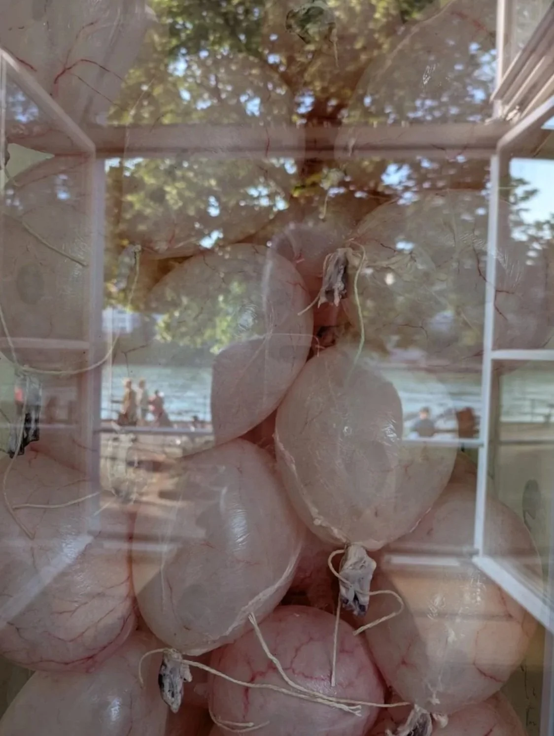 Harald Erath: Surface Tension