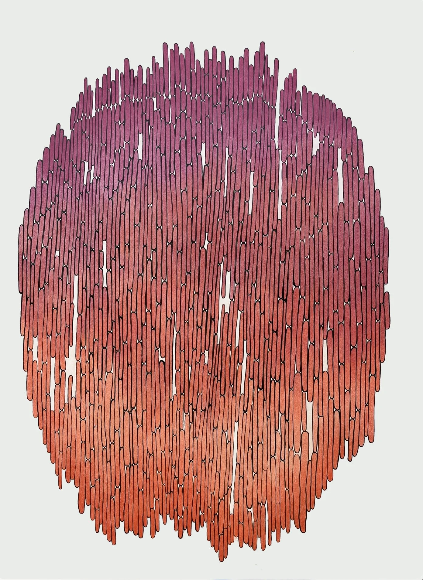 Large Gradient
2025-2026
Ink and colored pencil on paper
98.5 × 133.8 cm