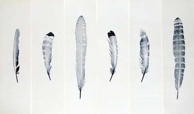 lewismaukfeathergroupunit400.jpg