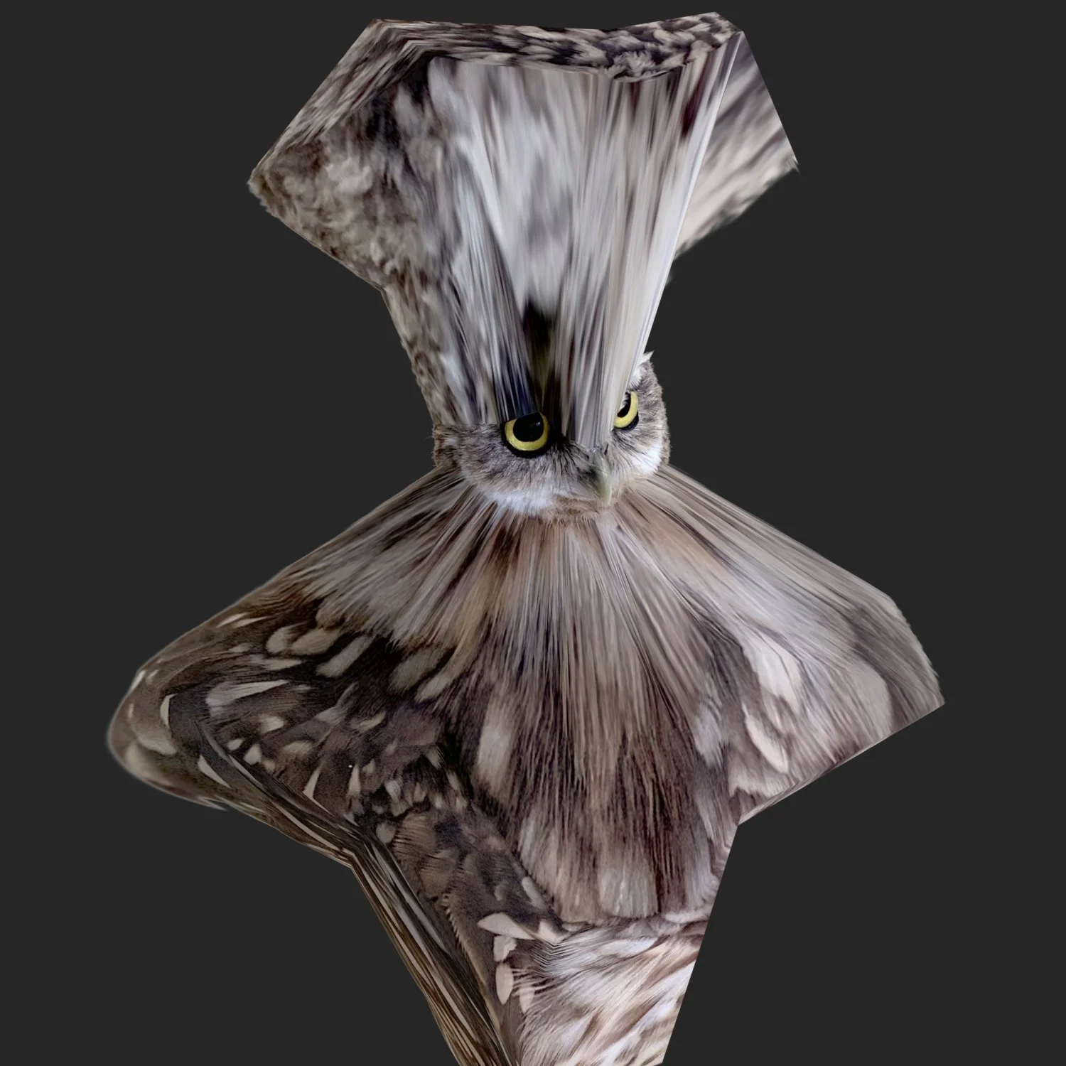 Dirk Koy, Shape Study 13 (Owl), 2020, 00:13, Photography, animation