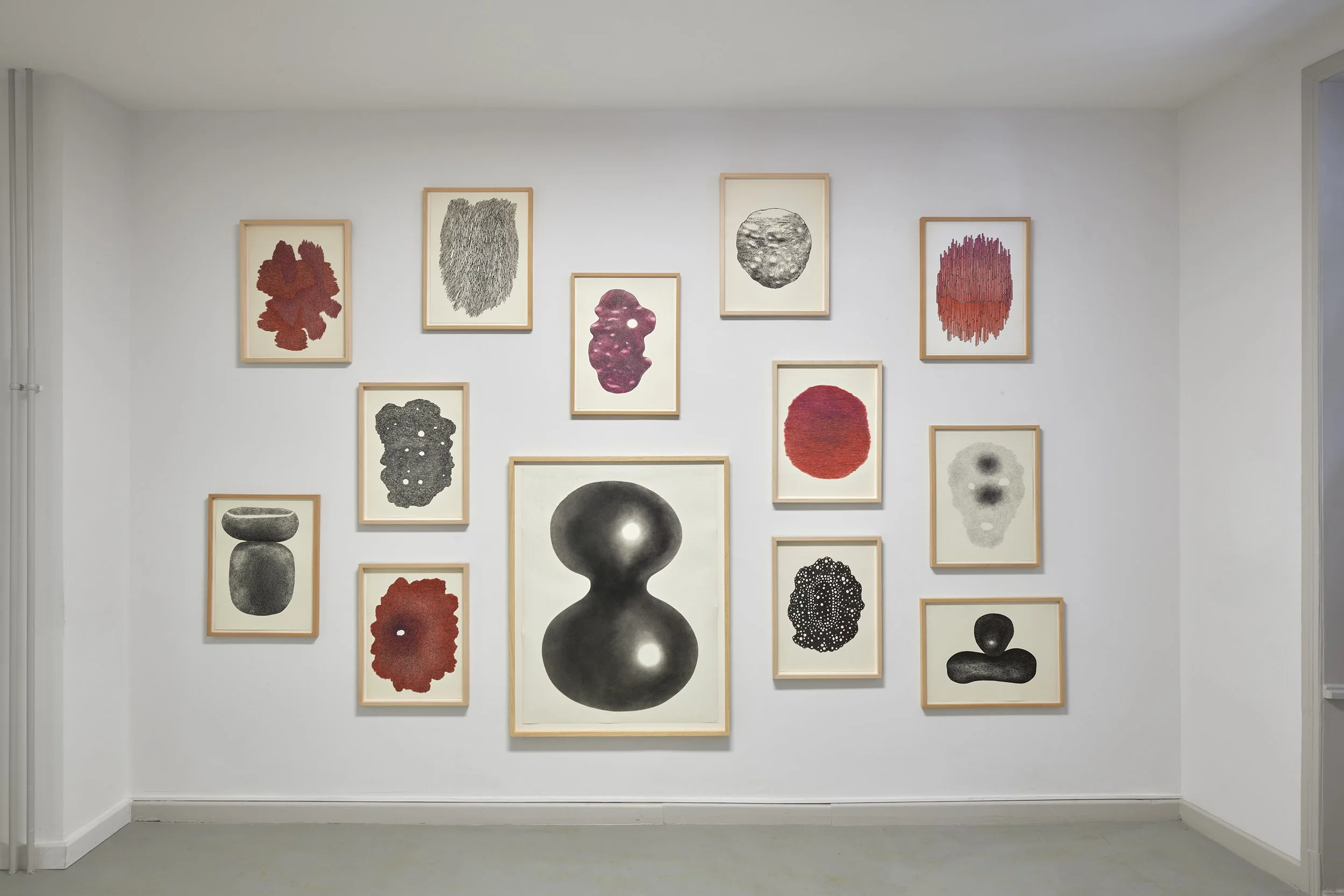 Installation view of a salon-style hang of multiple framed drawings by Karoline Schreiber