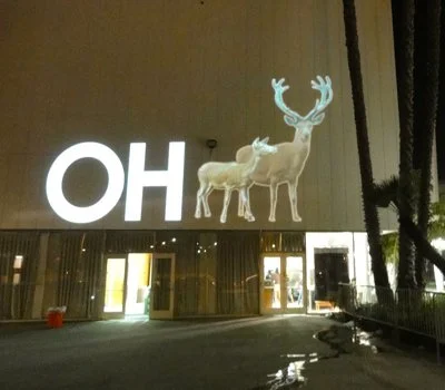 ohdeer.jpg