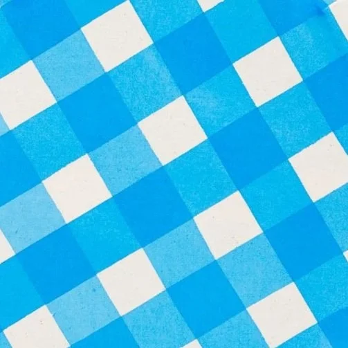 Close-up of a blue and white checkered pattern on a fabric or paper surface.