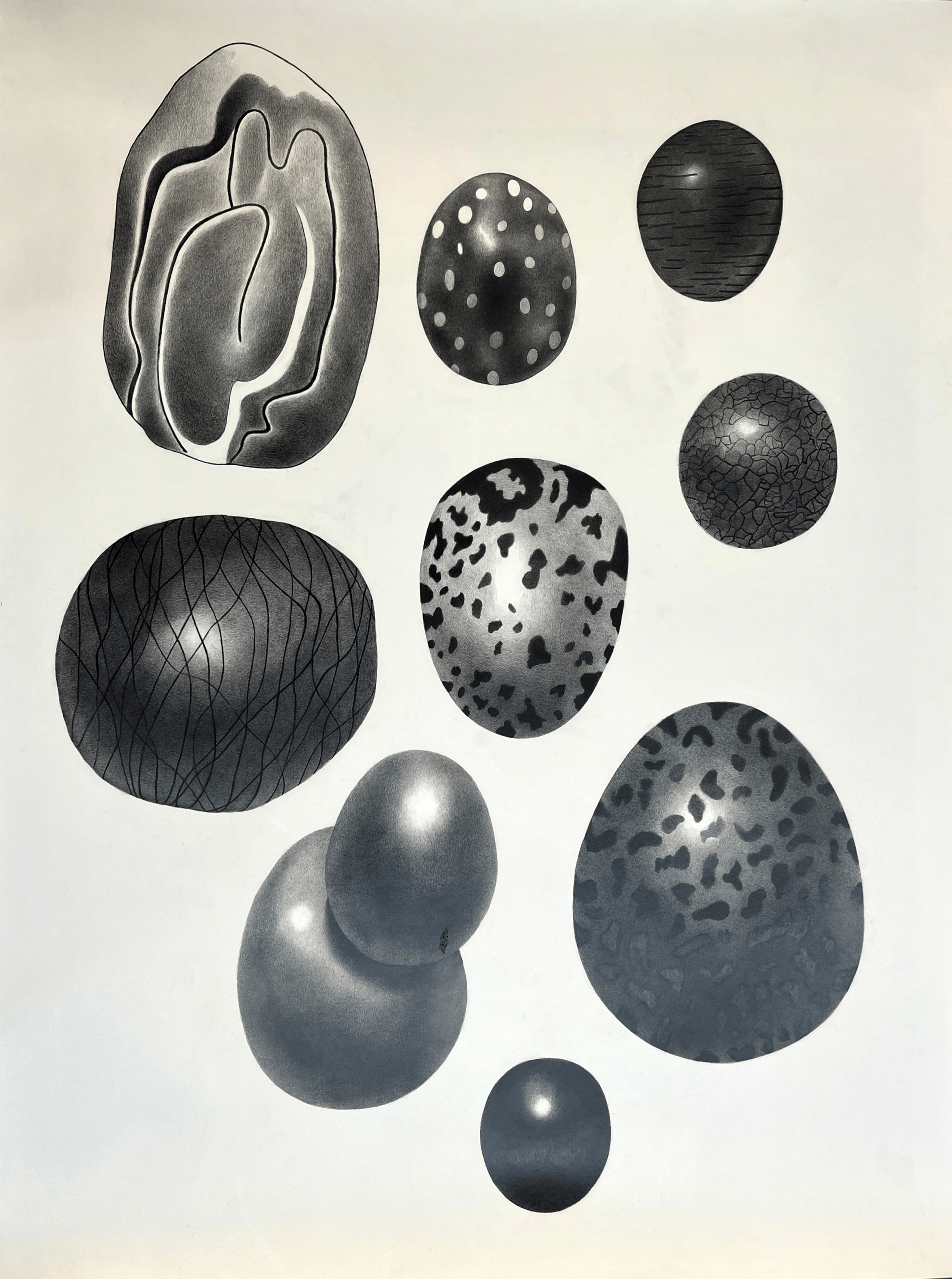 Arrangement
2026
pencil on paper
129 × 98 cm