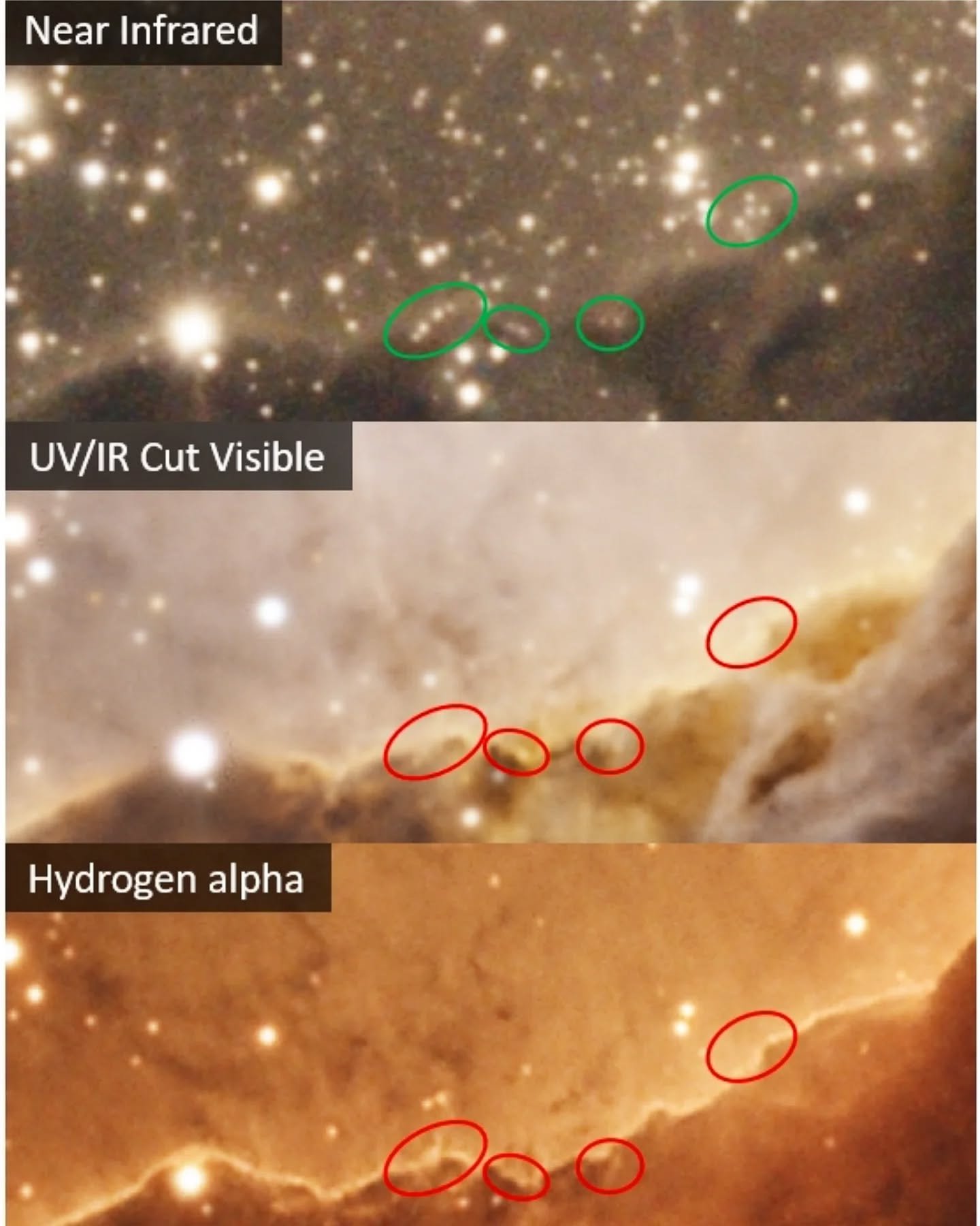 The last post from my semester project I promise. 

This image shows a comparison across Near Infrared, Visible and Hydrogen alpha wavelengths for the purposes of stellar identification. This data was obtained by using an IR Pass filter and astronomy