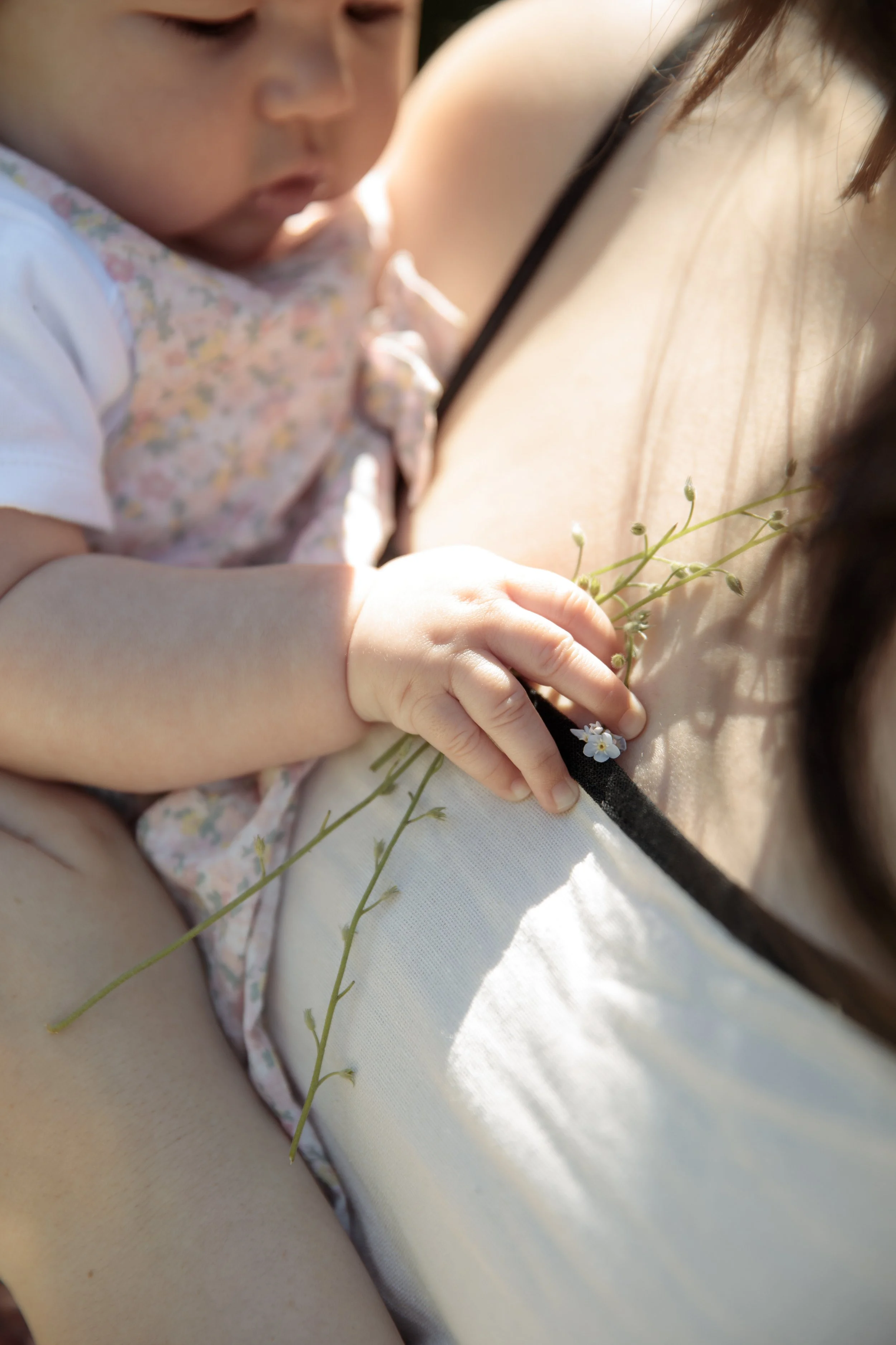 Gerosa Family-2268.jpg