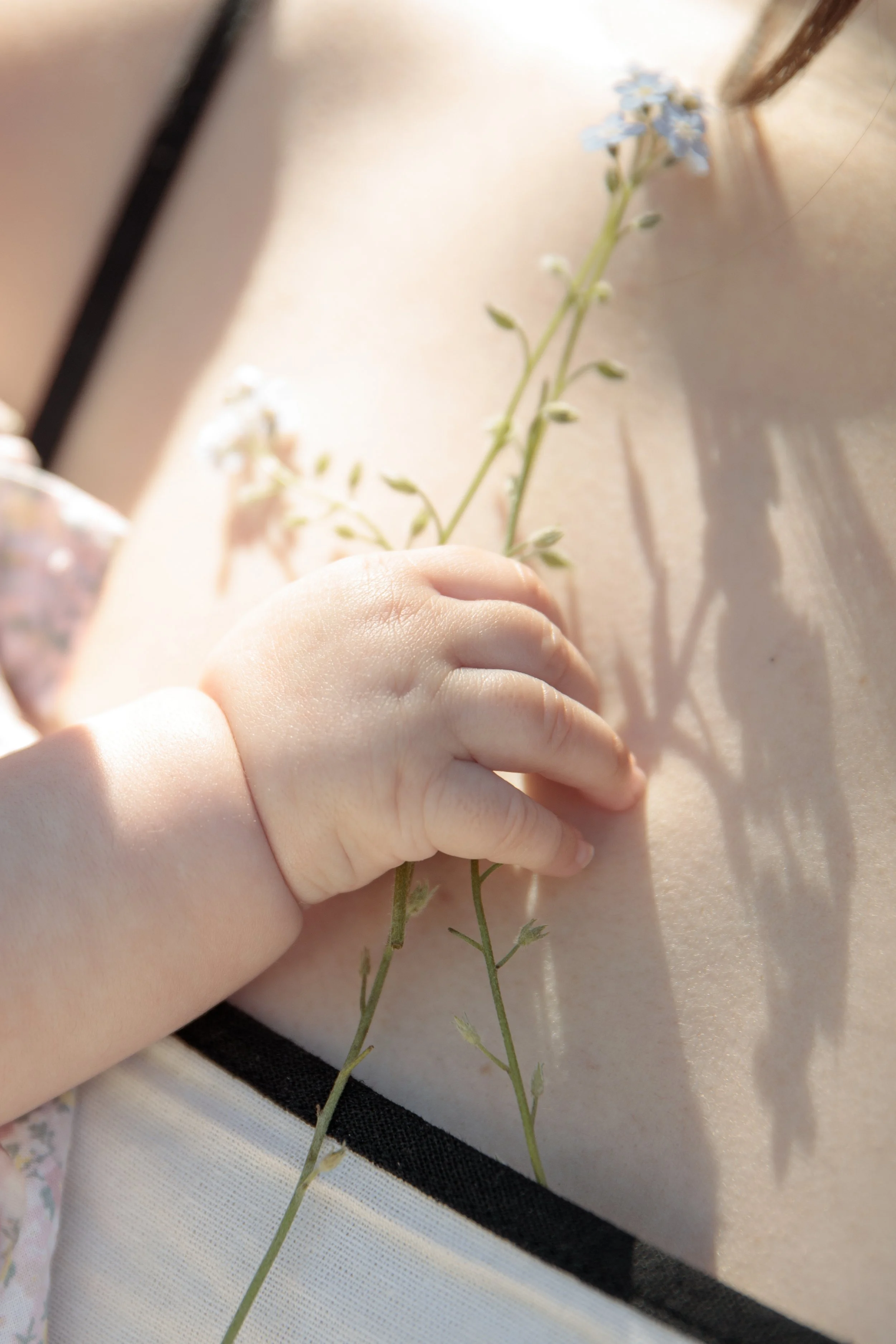 Gerosa Family-2265.jpg