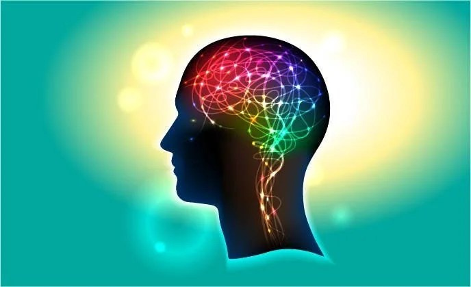 What is intelligence?