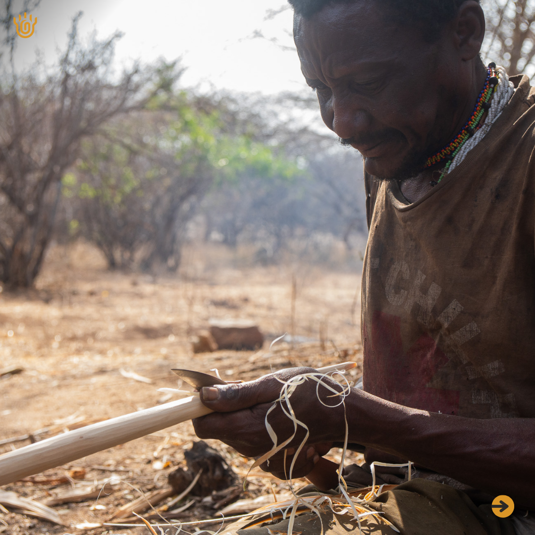 A picture of a Hadzabe man removing tree back and smoothing a stick