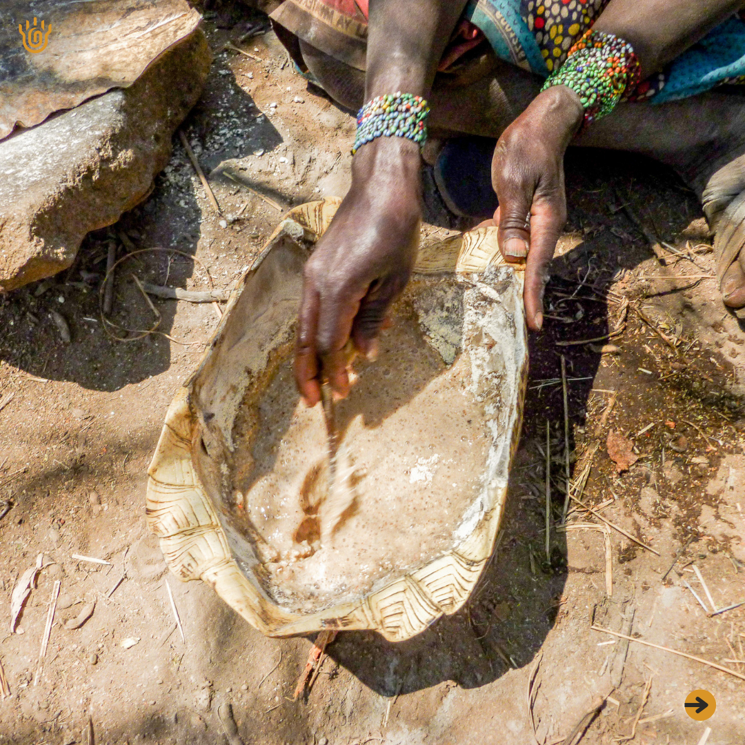 A mixture of water and crushed baobab fruit powder placed in a tortoise shell. This nutritious juice is ready to be served as a traditional juice by the Hadzabe tribe in Tanzania