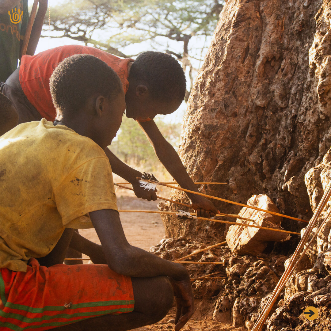 A picture of two Hadzabe kids pulling out their arrows from a baobab tree log