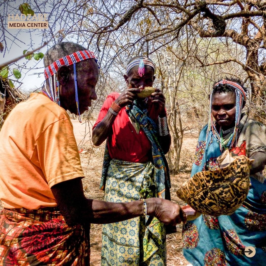 A picture showing Hadzabe women sharing a baobab juice from a tortoise shell.