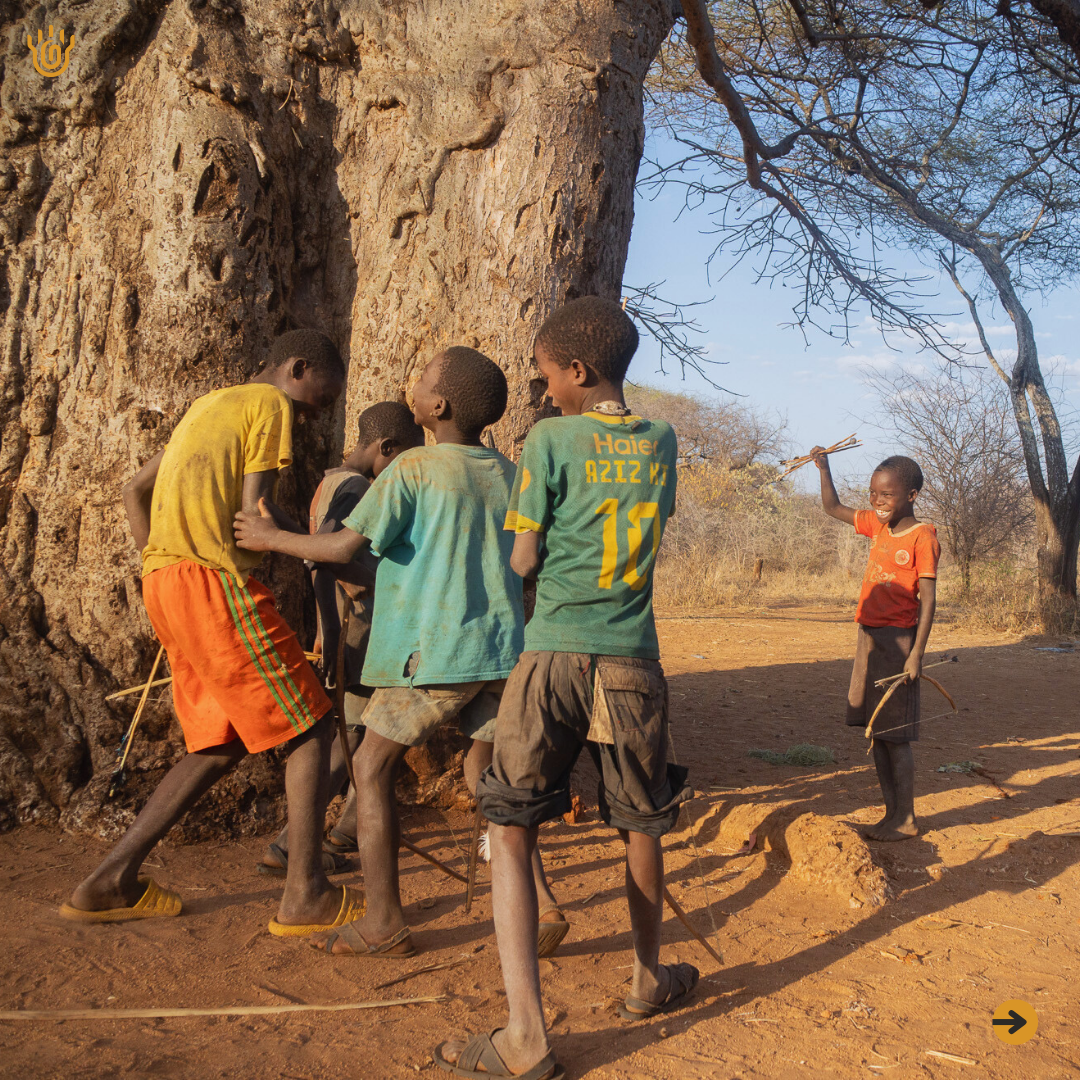 A picture of Hazdabe kids gathering on a baobab tree, one of the kids is smiling while holding his arrows up