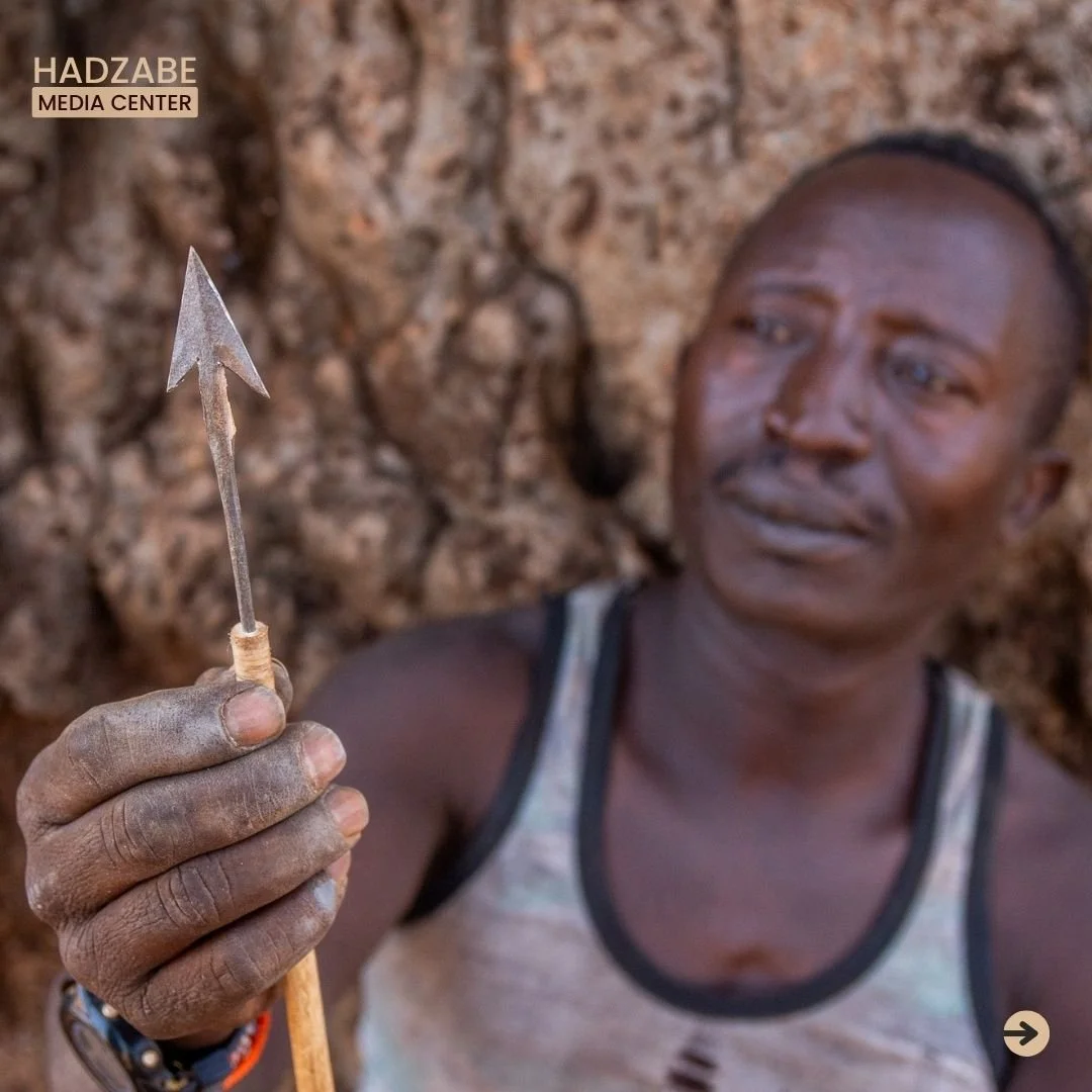 A picture showing a Hadzabe man holding an arrow head that has already been installed in a stick to be an arrow