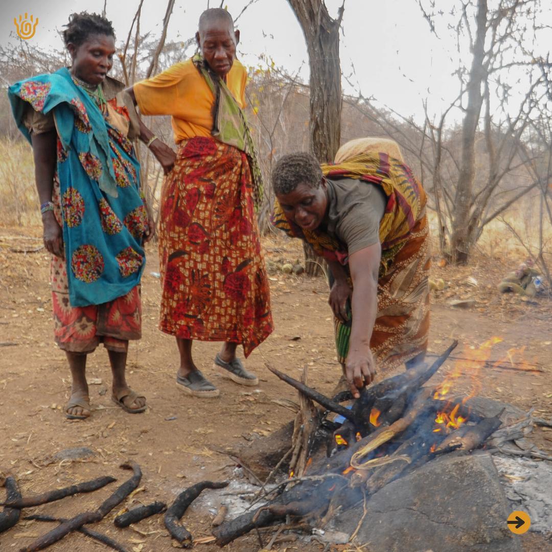 A picture showing a group of Hadzabe women fire roasting the dug roots