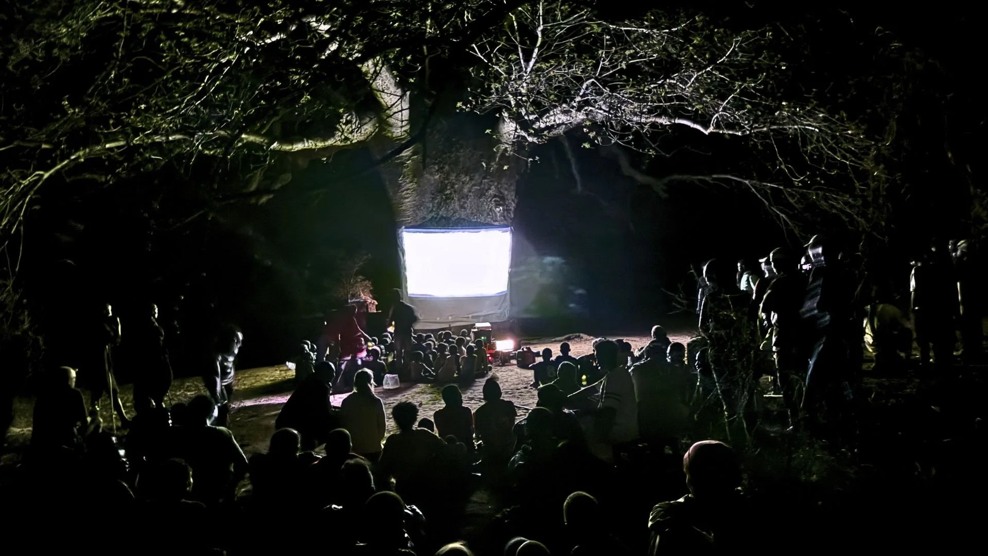 An image of film screening under a bib baobab tree, at night