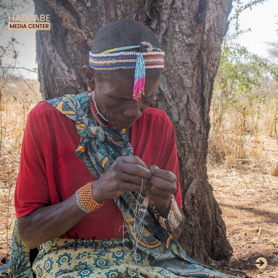 A picture showing a Hadzabe women crushing baobab fruits against a stone as she prepares a traditional nutritious juice from it 