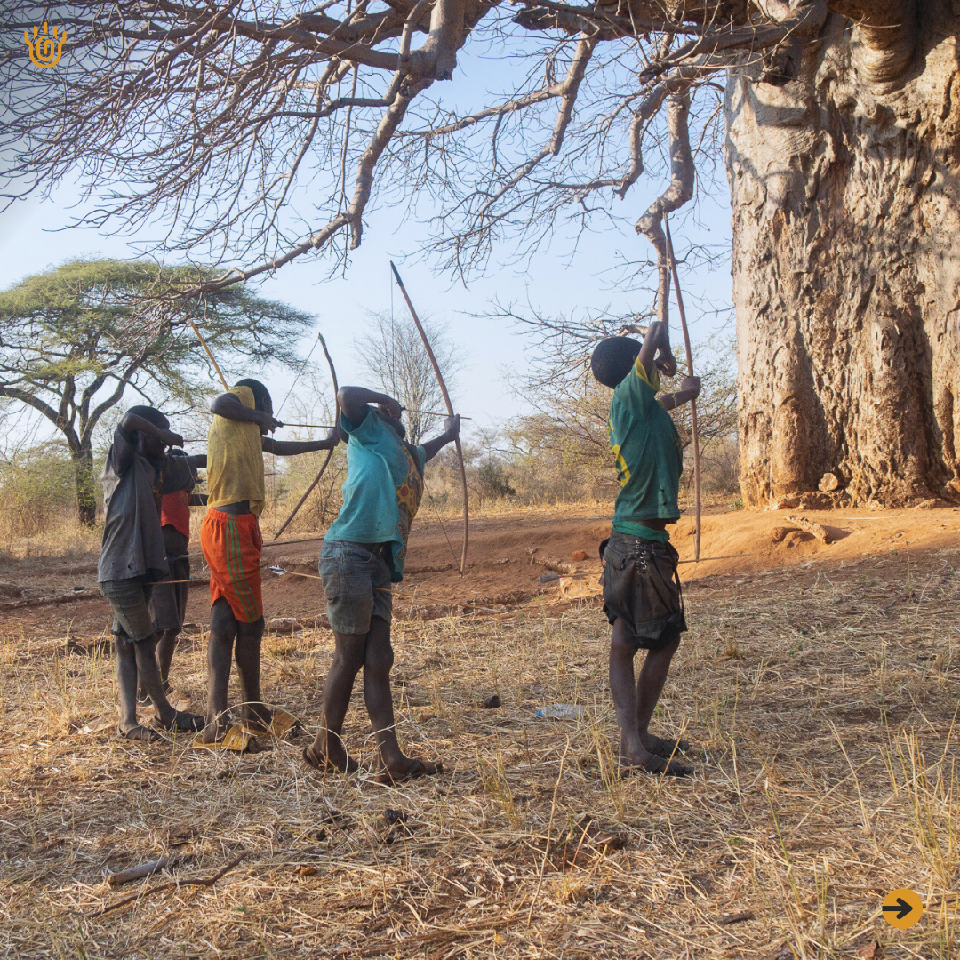 A picture showing a Hadzabe kids with their bows and arrows aiming at a target