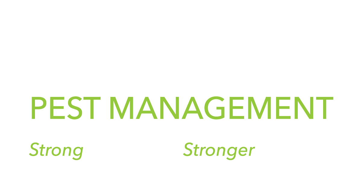 Ryno Pest Management