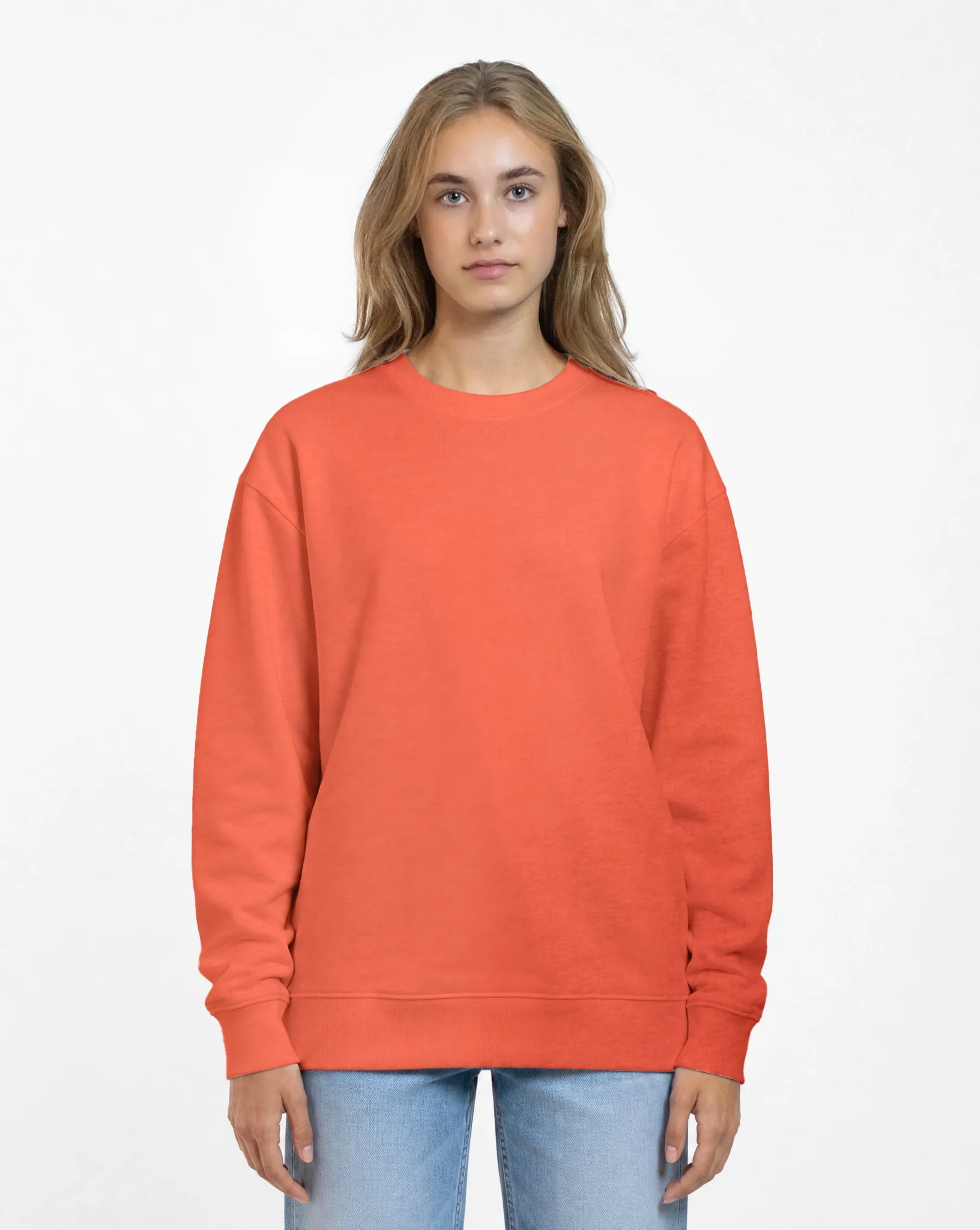 Sweater-Standard-Plus-Regular-Changer-Fiesta.webp