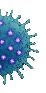 human T-cell with purple nanoparticles attached, used for tracking immune cells in patients and studying immunology, cancer therapy, and nanomedicine.