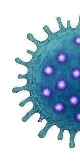 human T-cell with purple nanoparticles attached, used for tracking immune cells in patients and studying immunology, cancer therapy, and nanomedicine.
