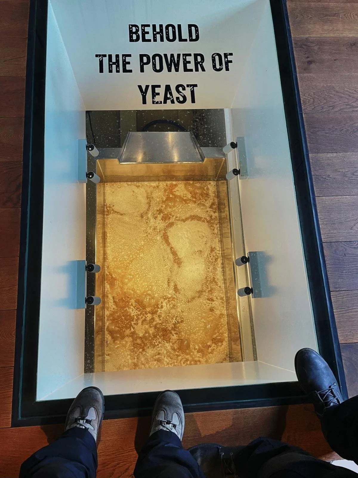 Power of yeast - beer