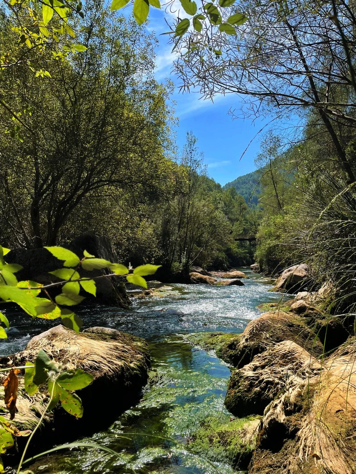Hike in mountains. River.