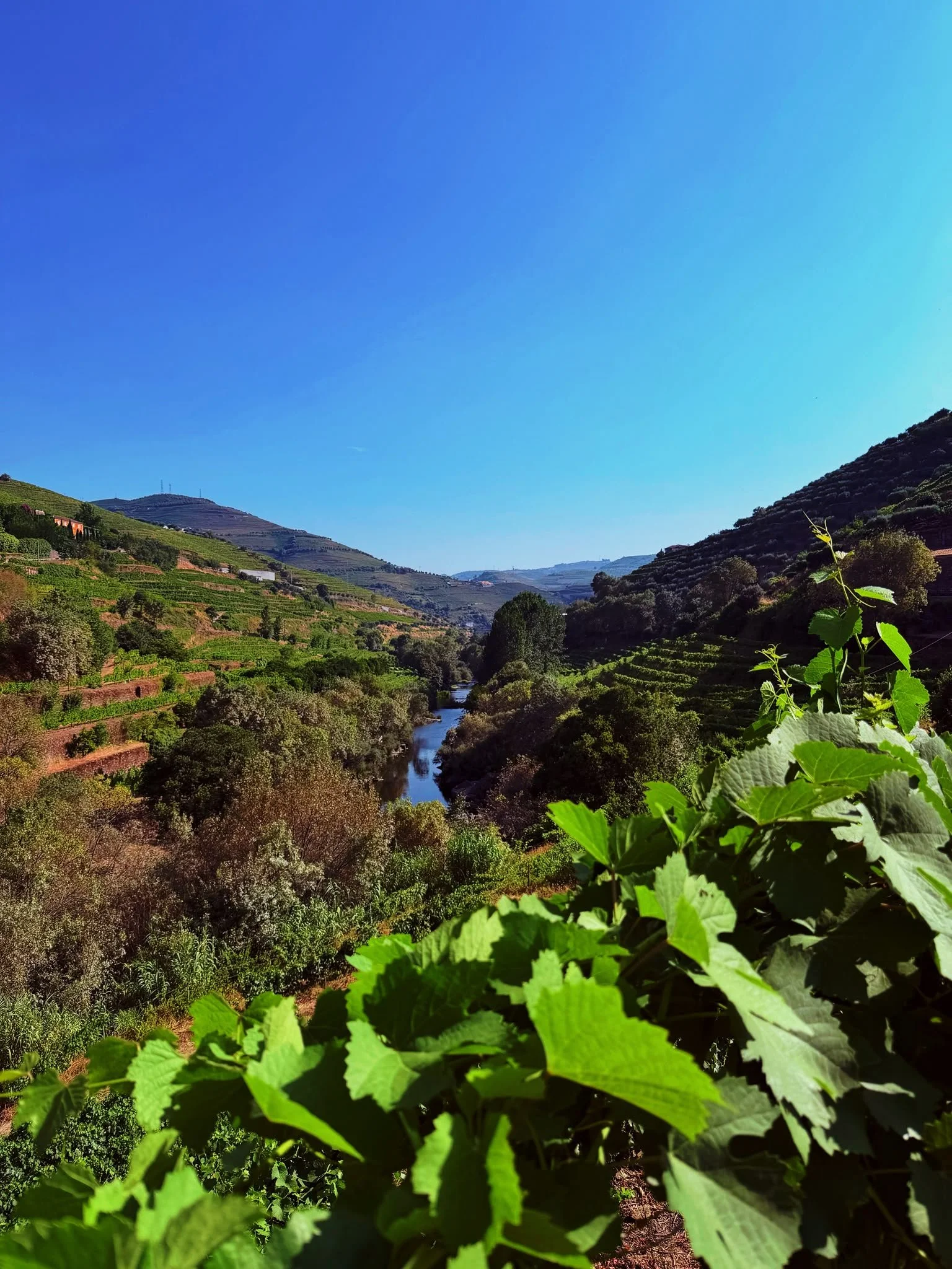 A view from Vieira de Sousa