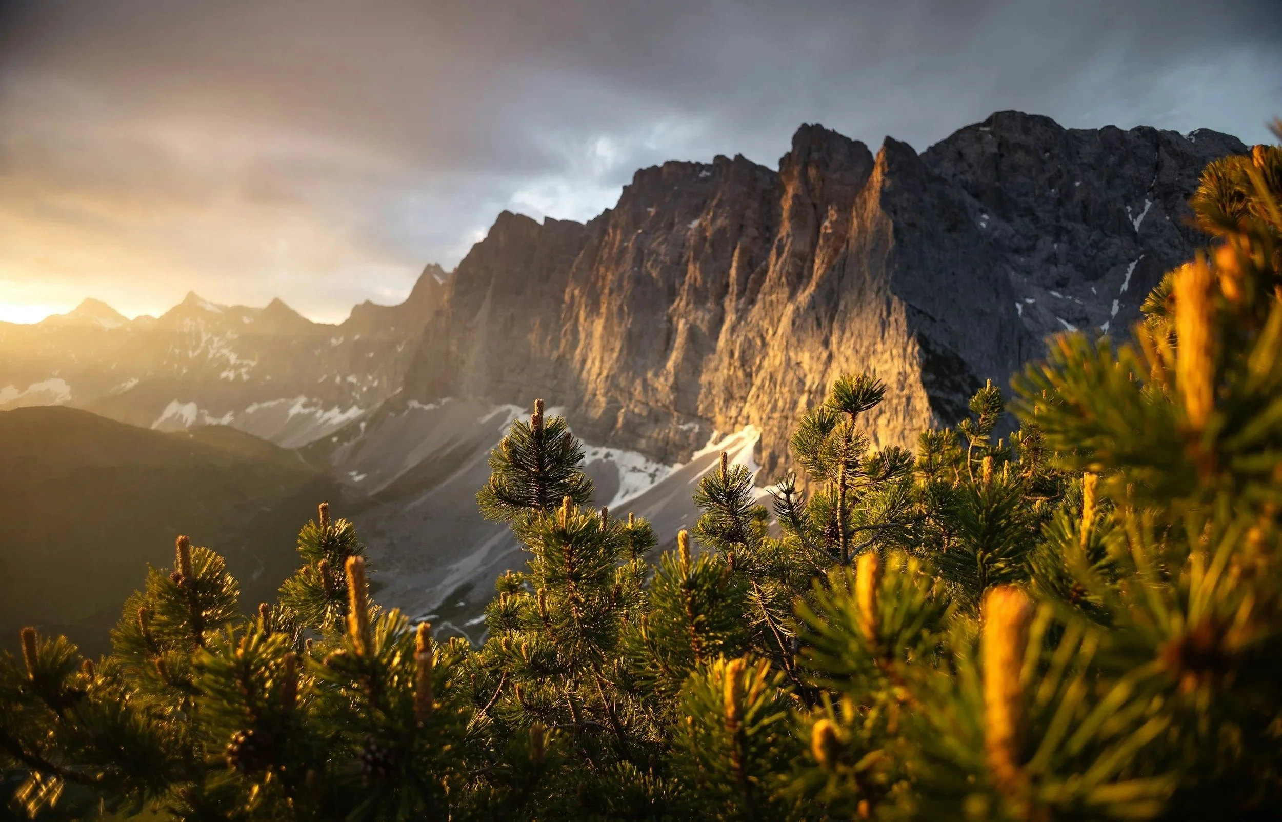Sunset over rugged mountain landscape with green pine trees in the foreground.