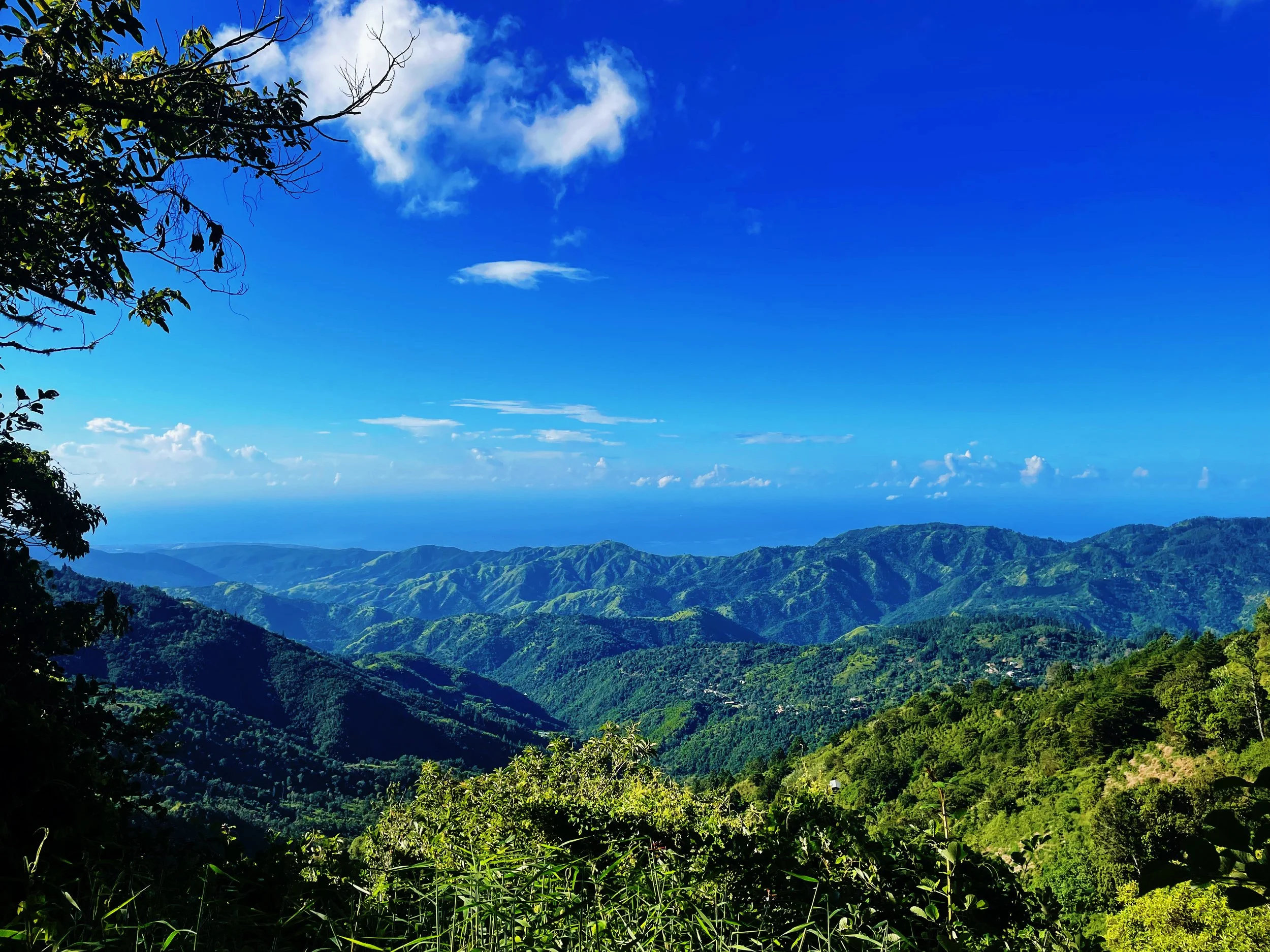 Blue Mountains, Jamaica