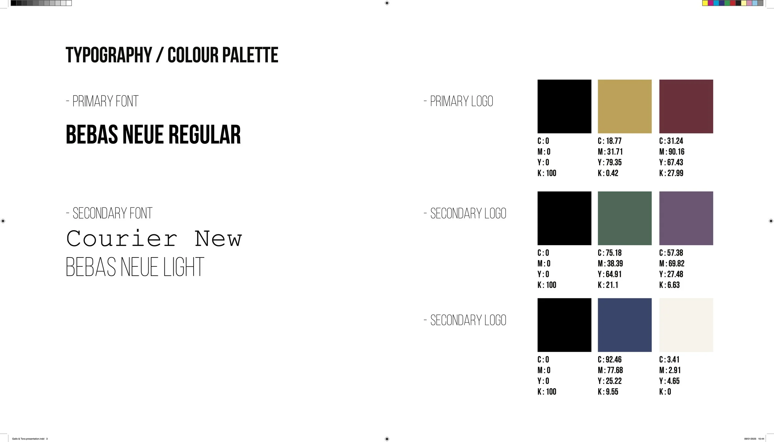 Gallo & Terra presentation 3.jpg