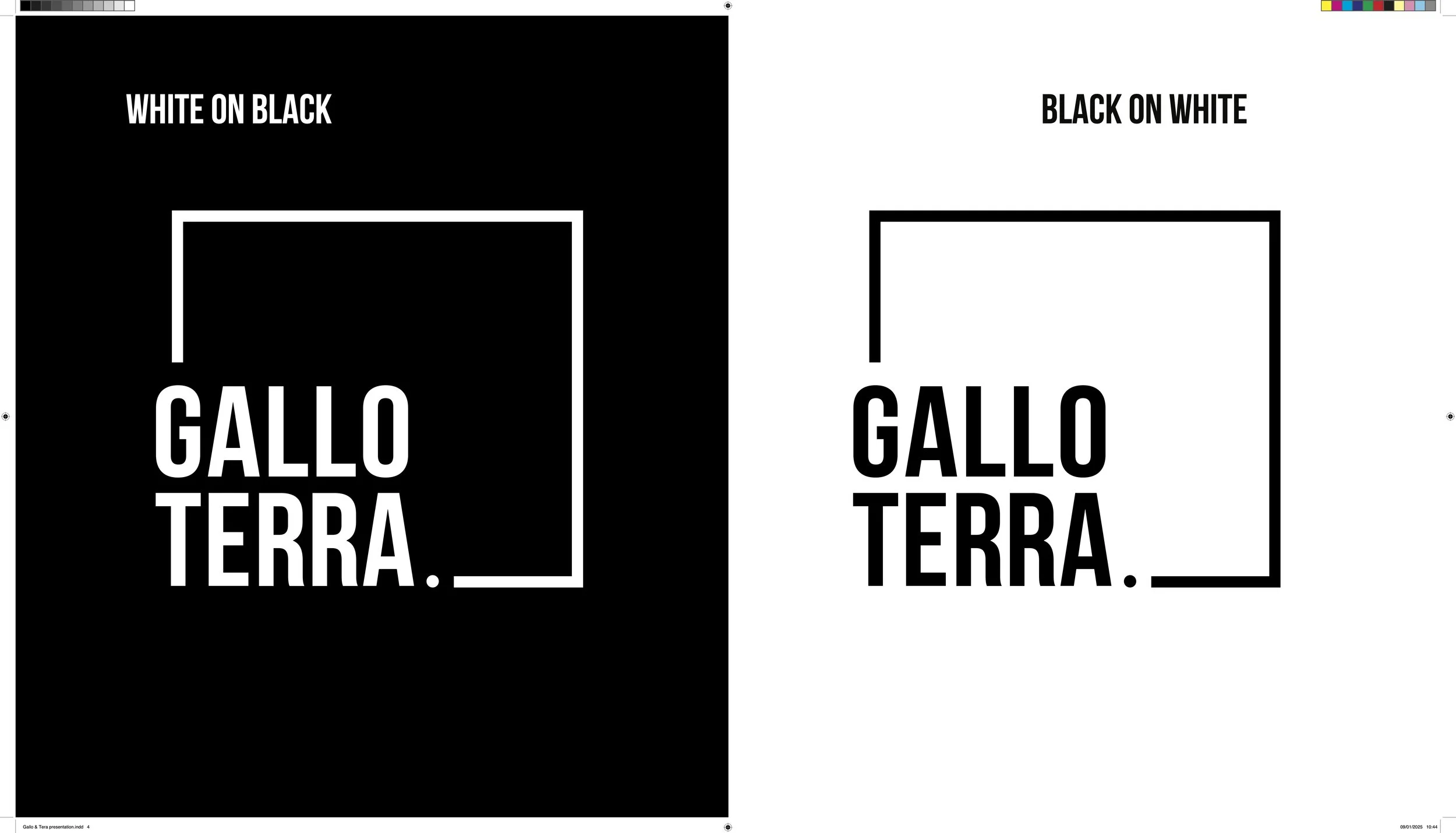 Gallo & Terra presentation 4.jpg