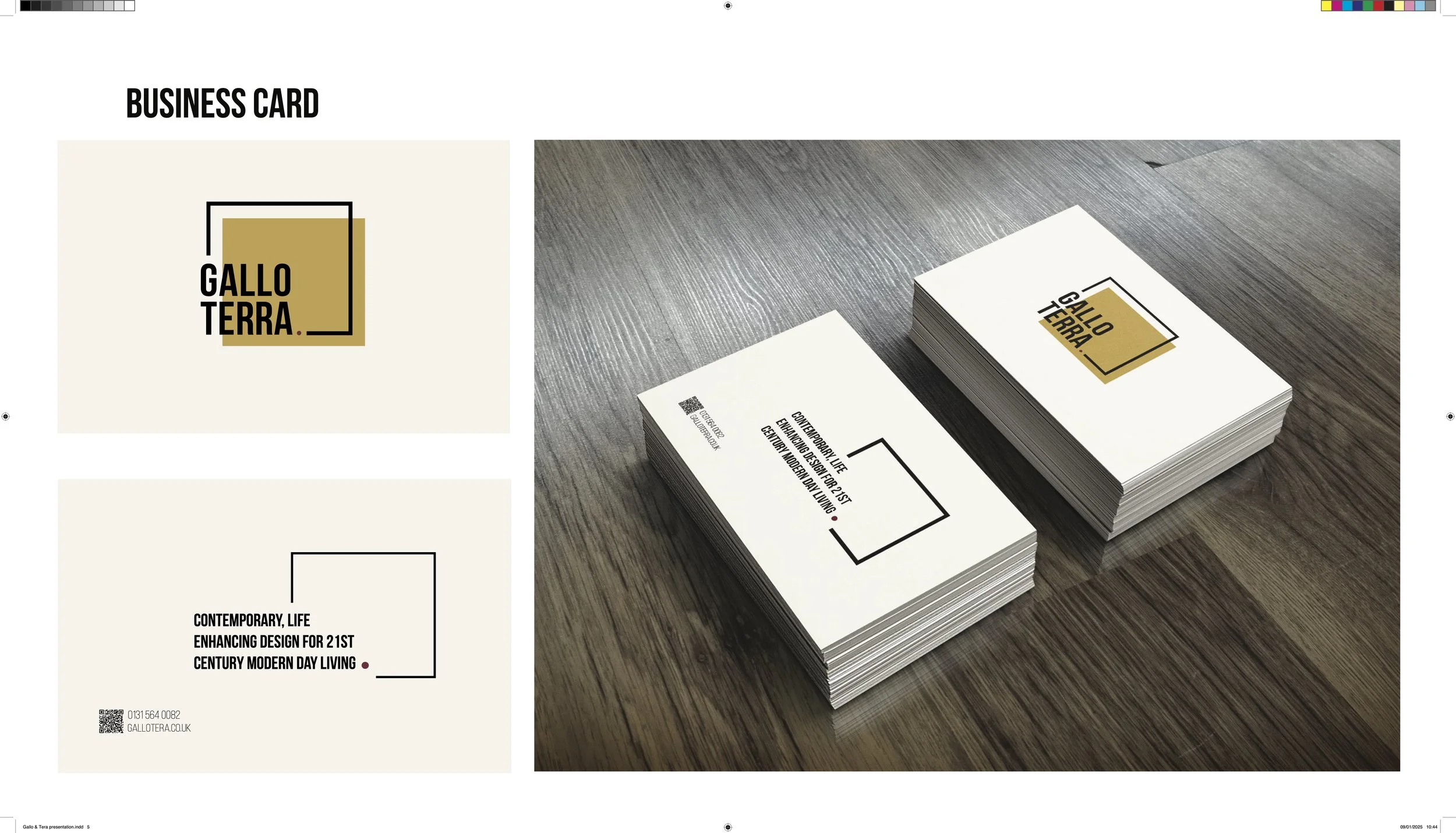 Gallo & Terra presentation 5.jpg
