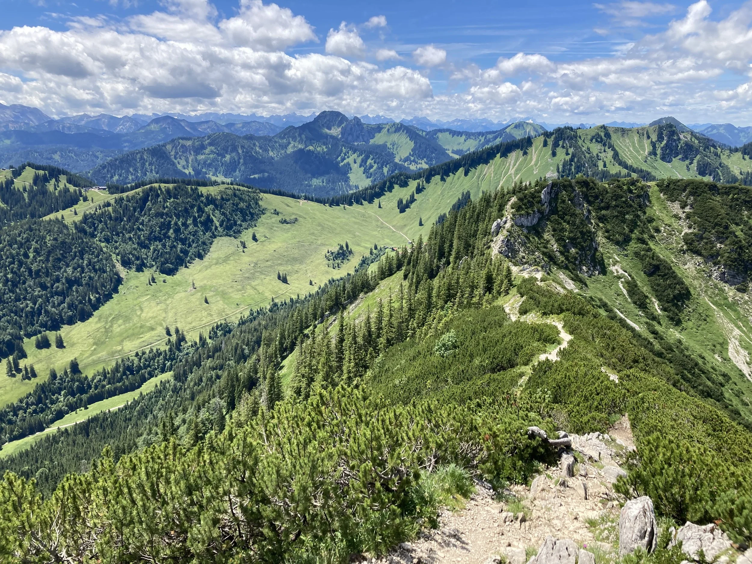 IMG_7446.jpg