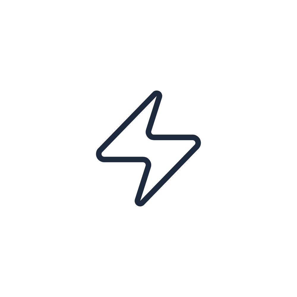 Express delivery icon