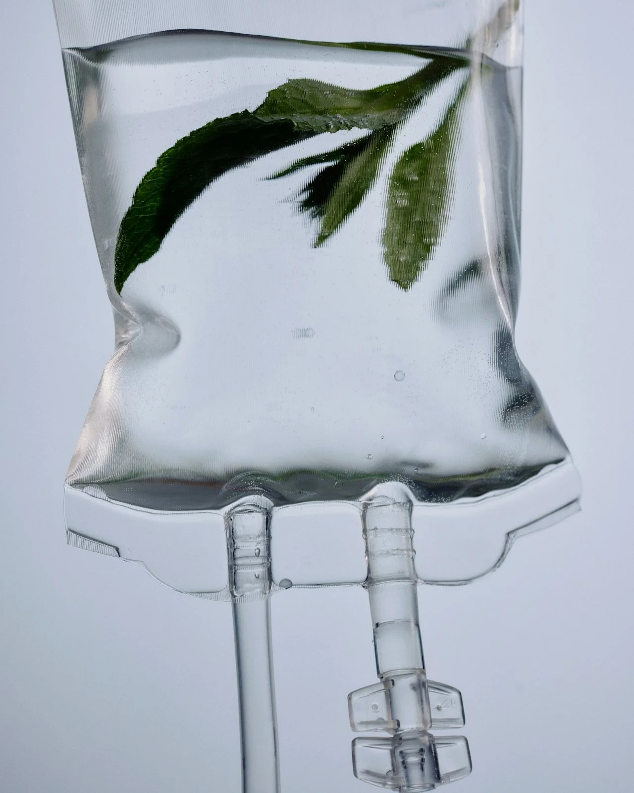 Infusion de feuilles de menthe dans de l'eau claire via un sac à infusion avec un tube en PVC.