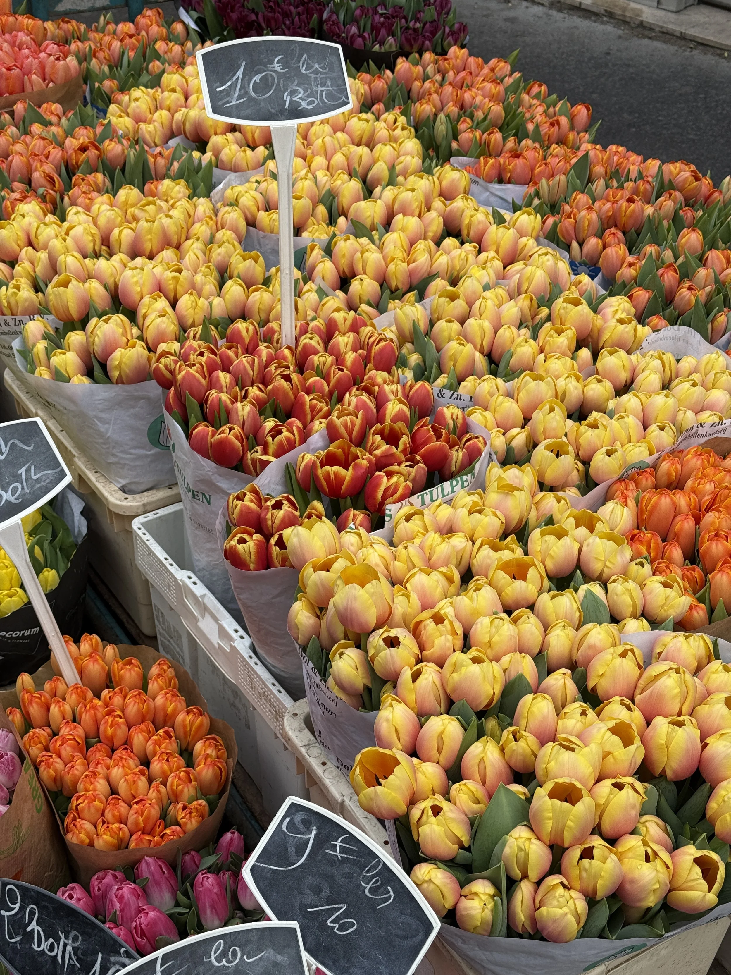 Buket af tulipaner i forskellige farver på markedet, med pris oplyst for 10 euro.