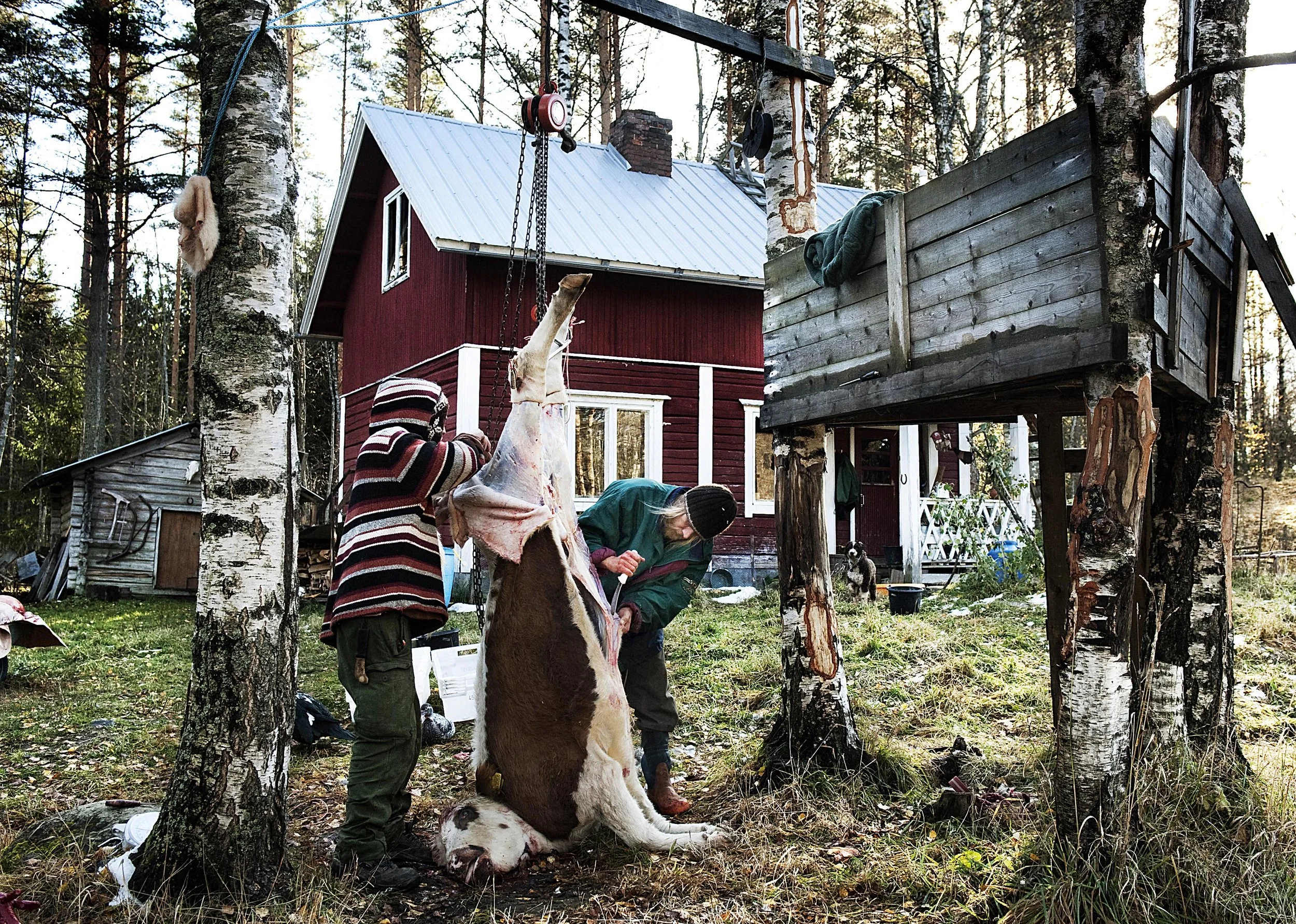 hemmaslakt_5_kv211010.jpg