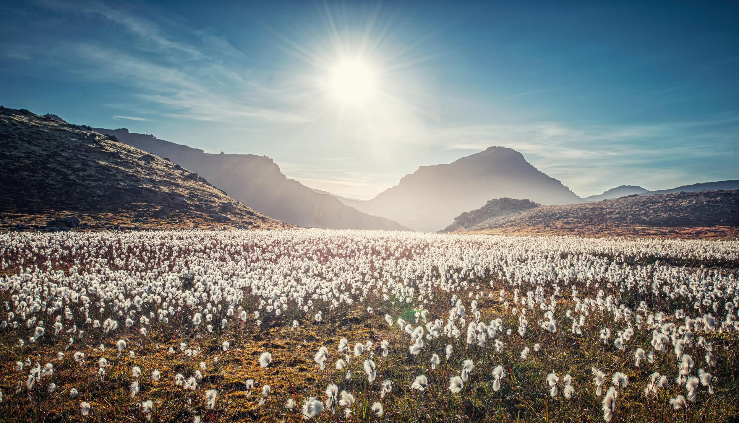 _D851629-HDR-Edit.jpg