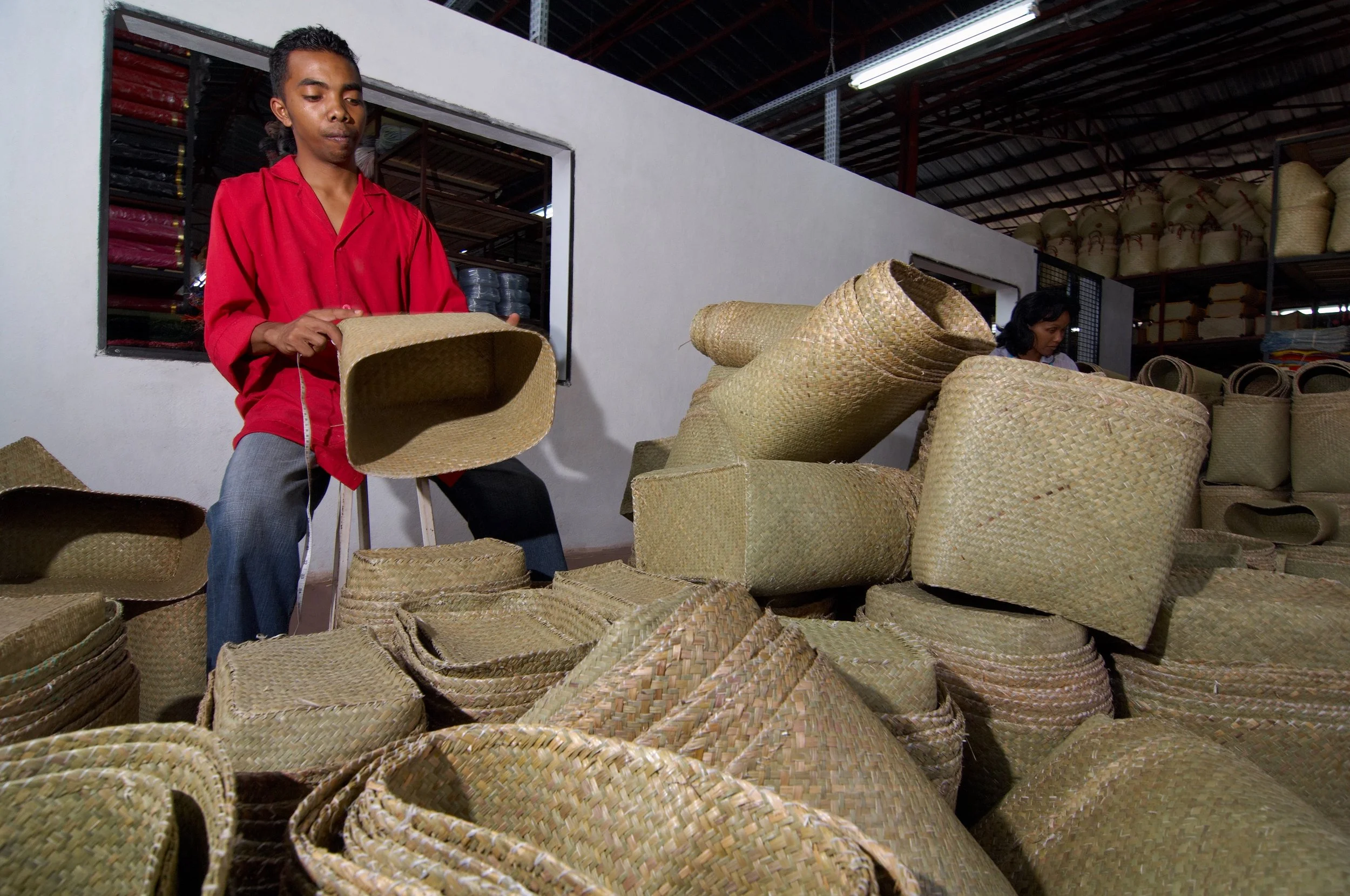 Photo Raffia Connection 4